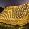3*2 net lights, LED fishing net lights, New Year's colorful lights, New Year's starry sky light strings, outdoor waterproof Christmas festival decorative lights Application Scenario